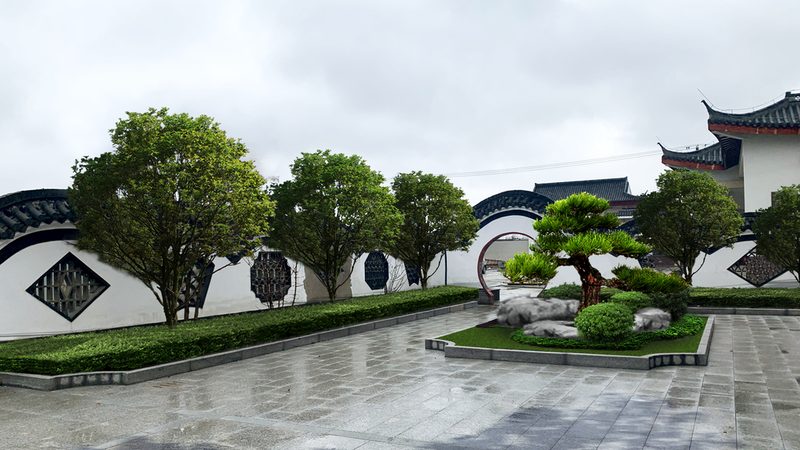 上海苗木专业合作社