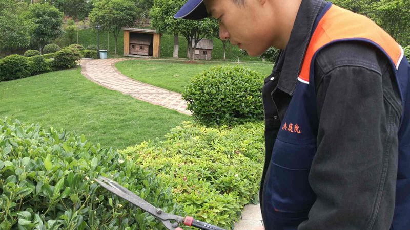 人工草坪施工费之谜：揭秘每平方的成本构成