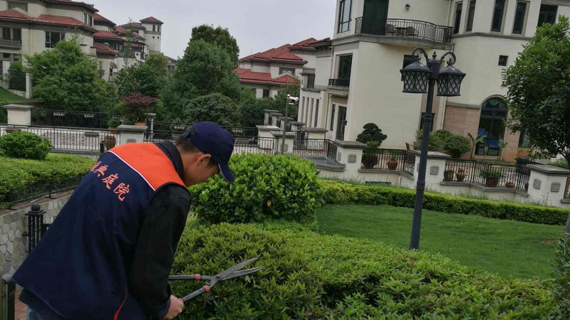 上海边坡绿化设计方案：因地制宜，打造生态景观**