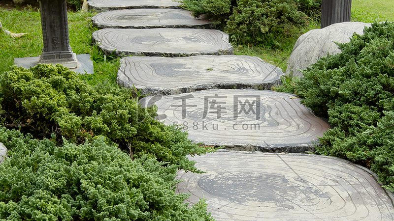 绿植租摆：种类、规格与参数全解析