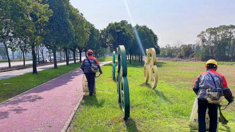 办公楼屋顶绿化的优缺点解析