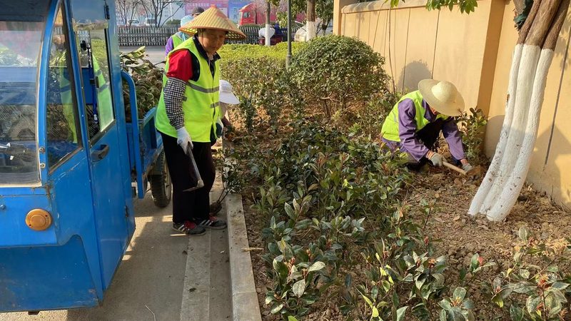 上海小区绿化改造厂家直销
