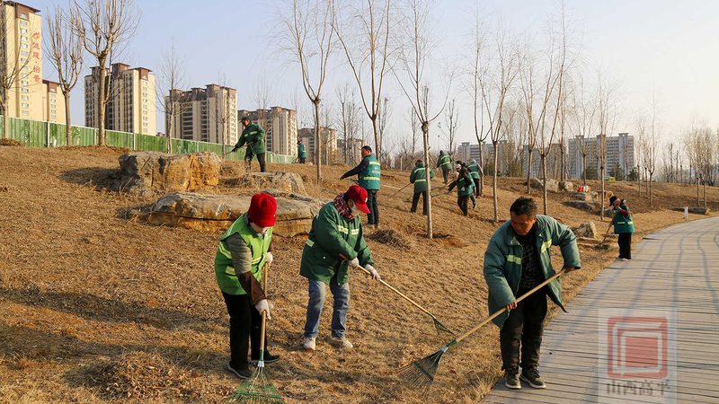 住宅小区绿化设计：规范要求与实施要点**