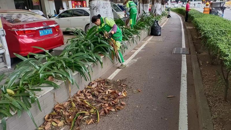 屋顶草坪施工成本揭秘：影响价格的关键因素**