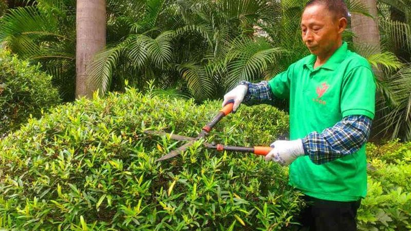 草坪沙土配比：如何确定含沙量的合适比例