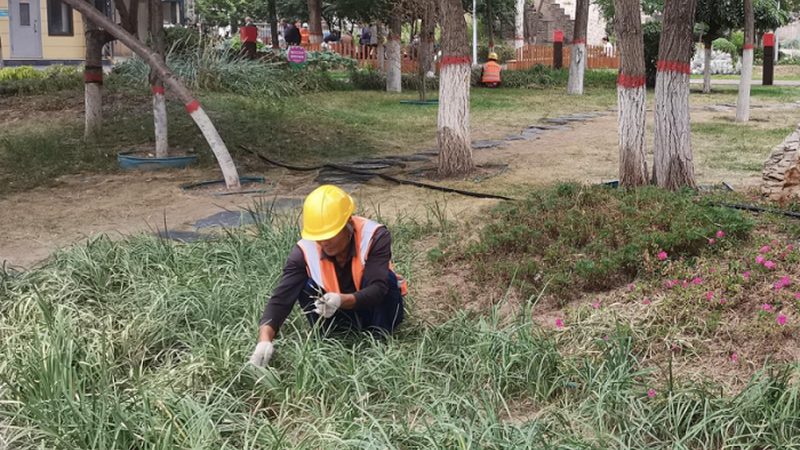市政园林工程预算怎么做：关键要素与合理规划