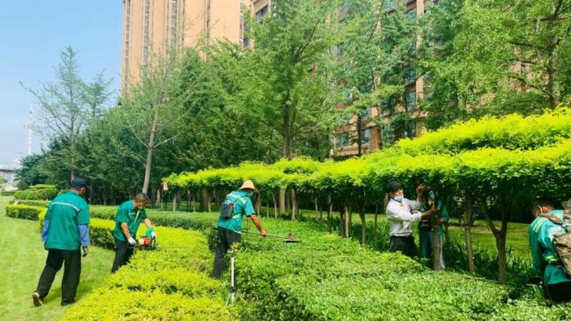 反季节苗木种植成本高吗